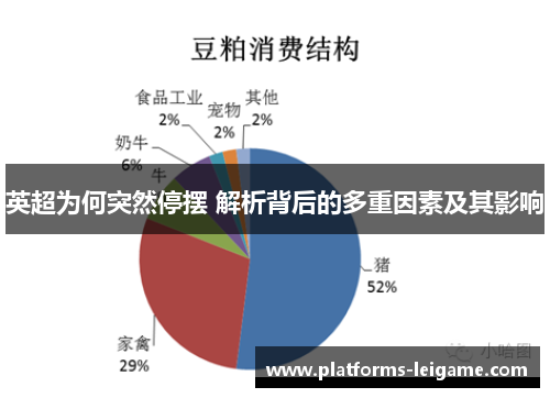 英超为何突然停摆 解析背后的多重因素及其影响