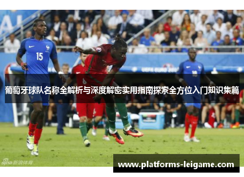葡萄牙球队名称全解析与深度解密实用指南探索全方位入门知识集篇