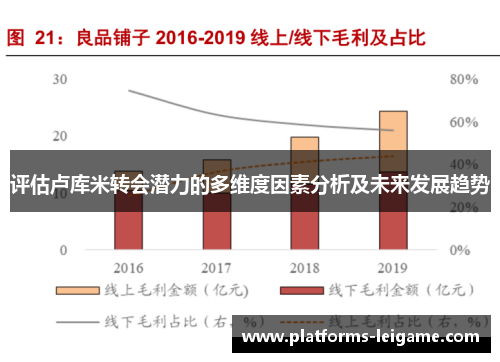 评估卢库米转会潜力的多维度因素分析及未来发展趋势