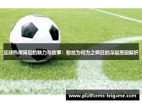 足球热潮背后的魅力与故事：粉丝为何为之疯狂的深层原因解析