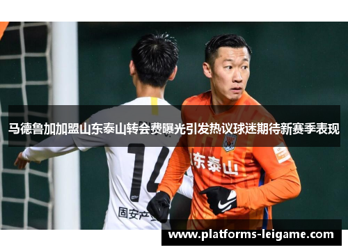 马德鲁加加盟山东泰山转会费曝光引发热议球迷期待新赛季表现 马德鲁加加盟山东泰山转会费曝光引发热议球迷期待新赛季表现